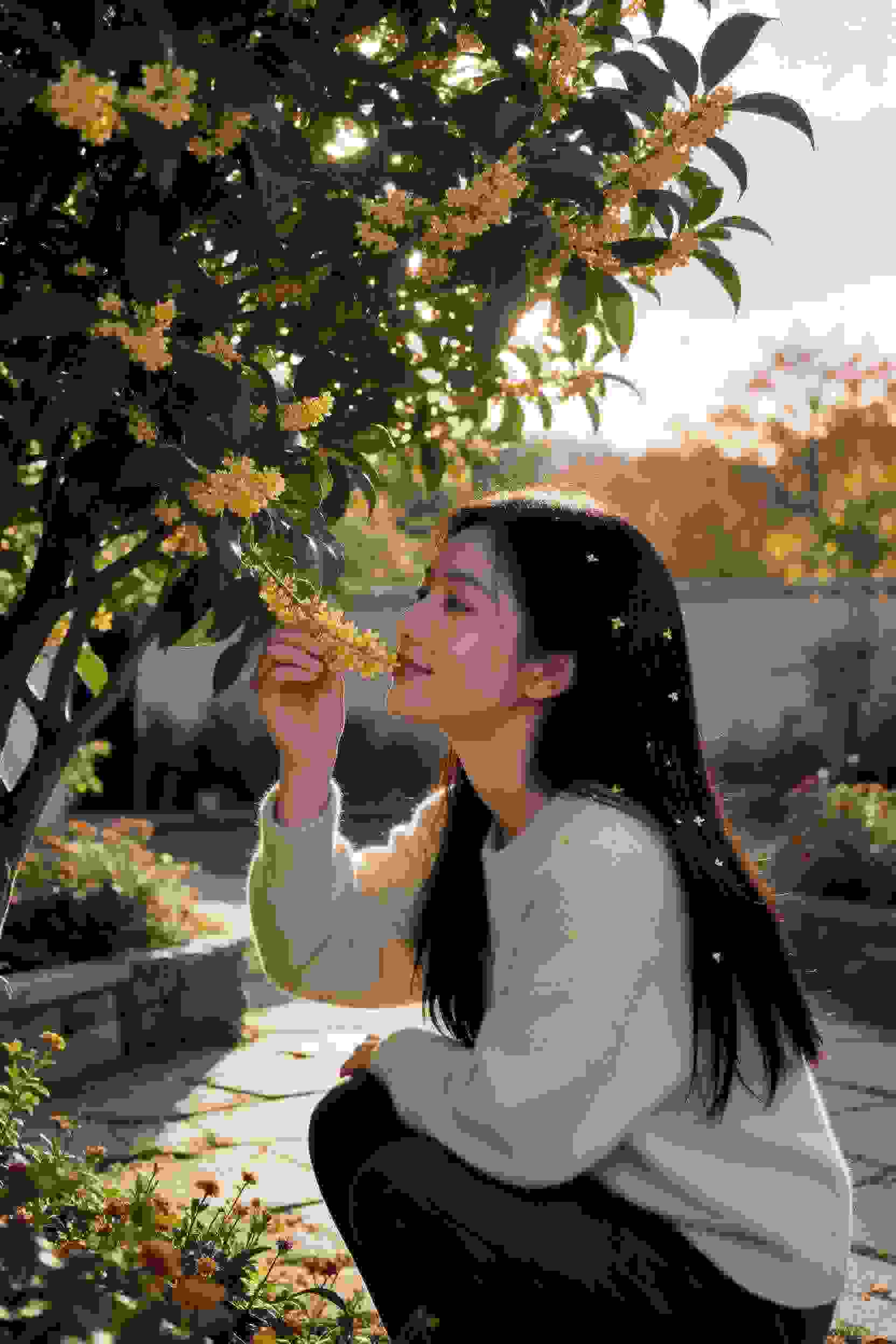 我的复仇之路